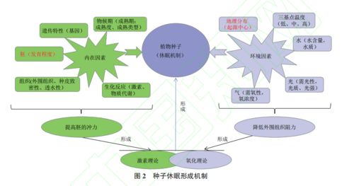 物聯(lián)網(wǎng)技術(shù)研發(fā) 賦能2021年生物技術(shù)新突破